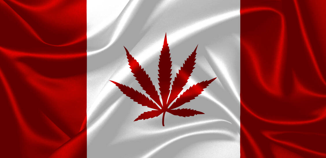 Vor etwa einem Jahr trat in Kanada ein Gesetz in Kraft, das den Konsum von Cannabis weitgehend legalisiert. Die nächste Stufe der Freigabe steht in Kürze an. Dann soll auch Cannabis in Lebensmitteln erlaubt sein. / Foto: Adobe Stock/Thamyris