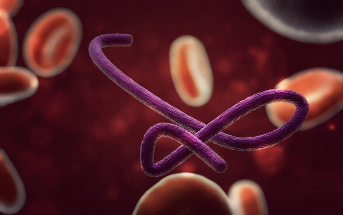 Eine Woche nach Bekanntgabe des Ebola-Ausbruchs in der kongolesischen Ituri-Provinz befinden sich Experten, Gesundheitspersonal und Helfer im Wettlauf gegen die Zeit. / © Getty Images/Joao Paulo Burini