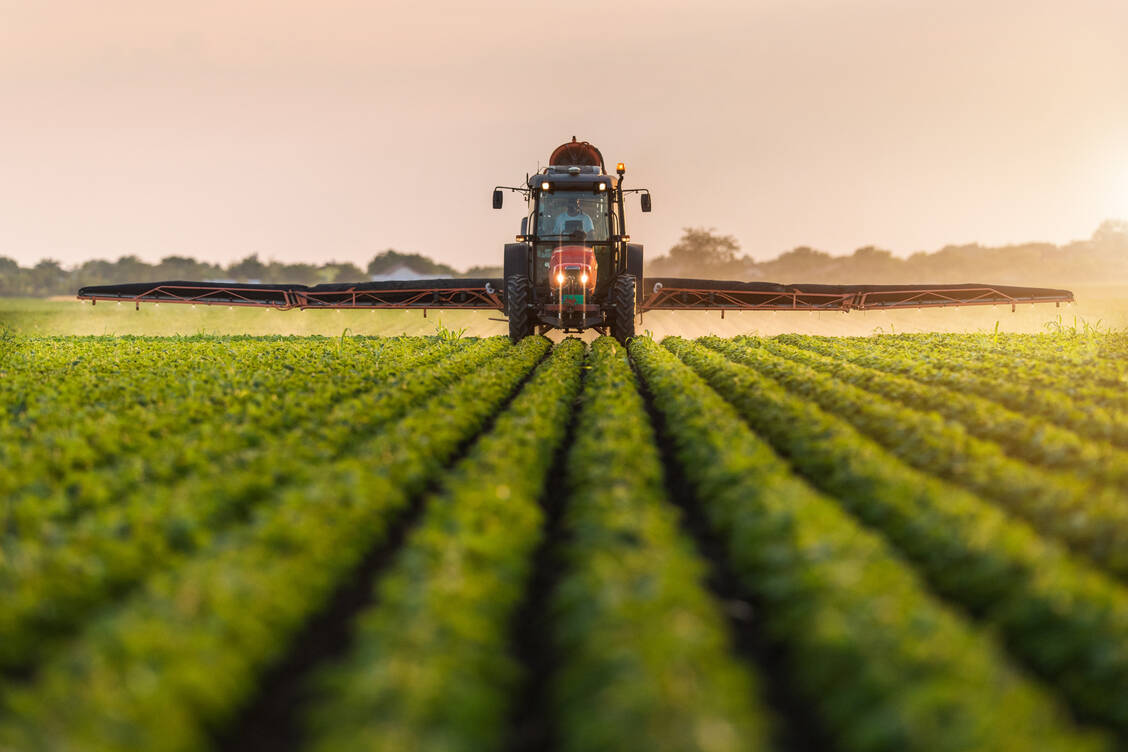 Glyphosat ist umstritten: Es wirkt auf fast alle Grünpflanzen und hat daher ein breites Spektrum wie kaum ein anderer Pflanzenvernichter. / Foto: Shutterstock/Fotokostic