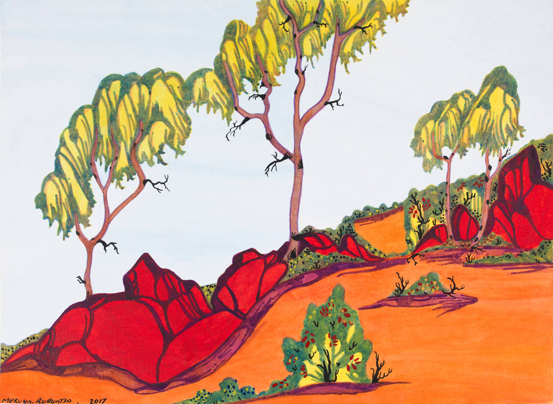 Mervyn Rubuntja: Bush medicine in Jay Creek, NT, 2017. / Foto: University of Melbourne