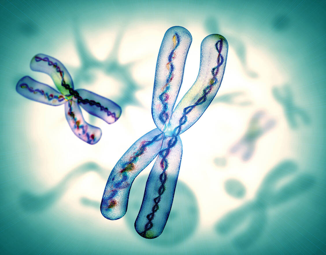Eine Fusion mit einem anderen Gen kann dazu führen, dass eines der NTRK-Gene überaktiv wird. Dann kann der TRK-Hemmer Larotrectinib gegeben werden. / Foto: Fotolia/Giovanni Cancemi