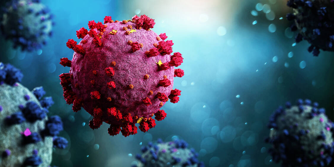 Wenn sich ein Virus an den Menschen anpasst, schwächt es sich in der Regel ab. Es gibt Hinweise, dass das auch bei SARS-CoV-2 der Fall ist. / Foto: Adobe Stock/Production Perig