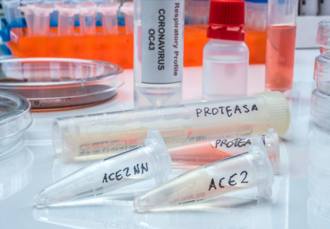 Etliche antiviral wirksame Protease- und Polymerase-Hemmer, aber auch Entry-Inhibitoren werden erprobt. So ist der ACE2-Rezeptor ein Target für Wirkstoffe, die das Eindringen des Coronavirus in die Wirtszelle verhindern sollen. / Foto: Adobe Stock/felipecaparros