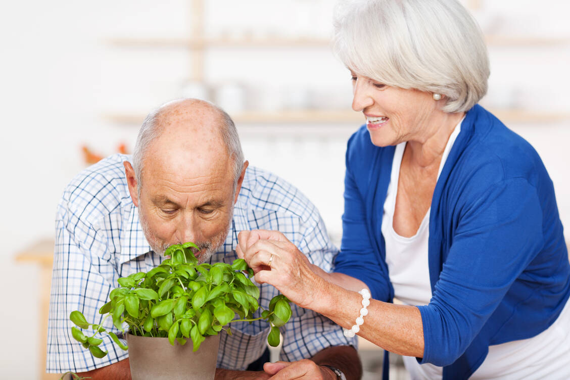 Im Alter lässt der Geruchssinn nach. Anosmie kann sogar ein Frühsymptom der Parkinson-Erkrankung sein. Ein gezieltes Riechtraining kann helfen, den Geruchssinn zu erhalten. / Foto: Adobe Stock/contrastwerkstatt