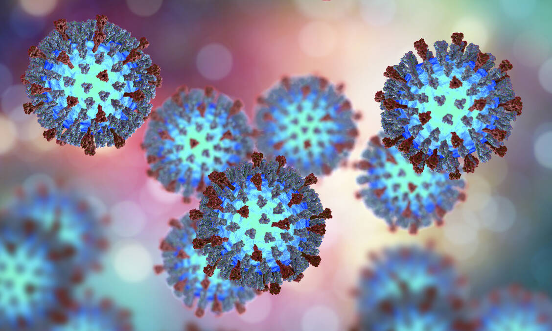 Das Masernvirus sollte nach Plänen der WHO in Europa schon bis zum Jahr 2000 ausgerottet sein. / Foto: Adobe Stock/Kateryna_Kon