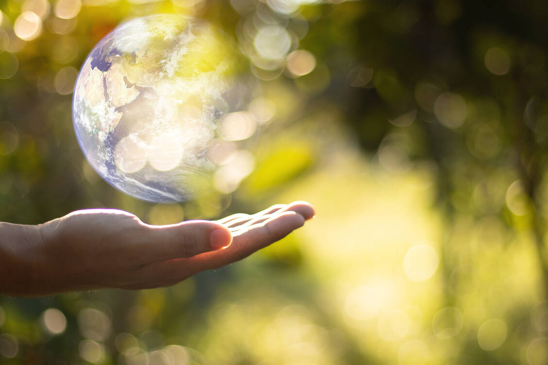 Der »One Health«-Ansatz erkennt an, dass die Gesundheit von Menschen, Tieren und der Umwelt eng miteinander verbunden und voneinander abhängig sind. / Foto: Adobe Stock/Patdanai