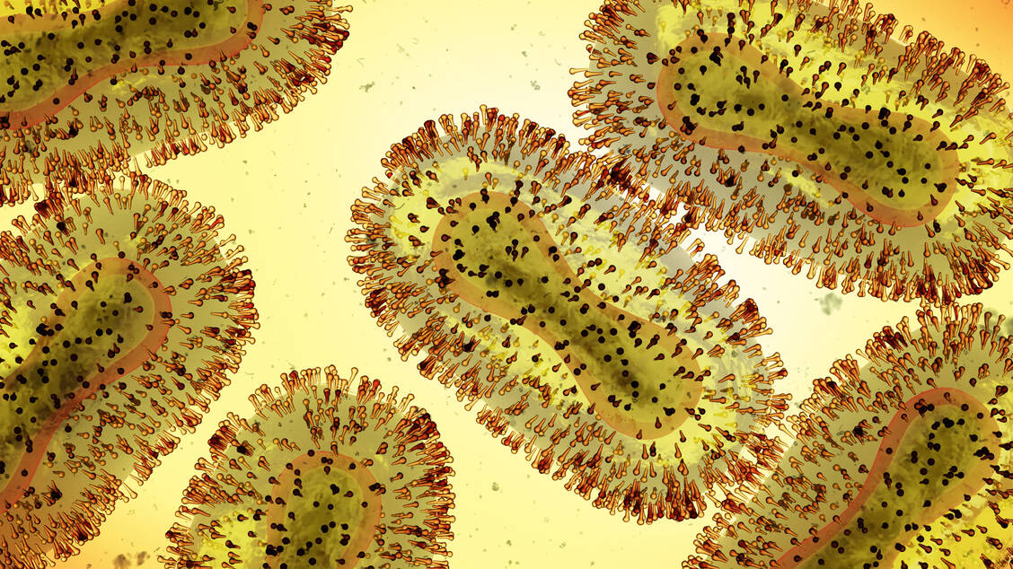 Eine neue Variante des Monkeypox-Virus sorgt bei Experten für Besorgnis.  / Foto: Adobe Stock/dottedyeti