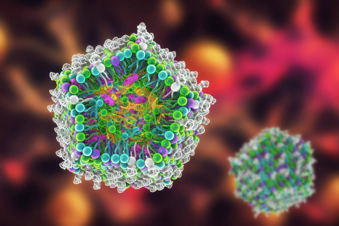 Nanopartikel, in die Wirkstoffe – oder auch mRNA wie bei den gleichnamigen Impfstoffen – verpackt werden, sind DDS, die die Stabilität erhöhen. / Foto: Adobe Stock/Dr_Microbe