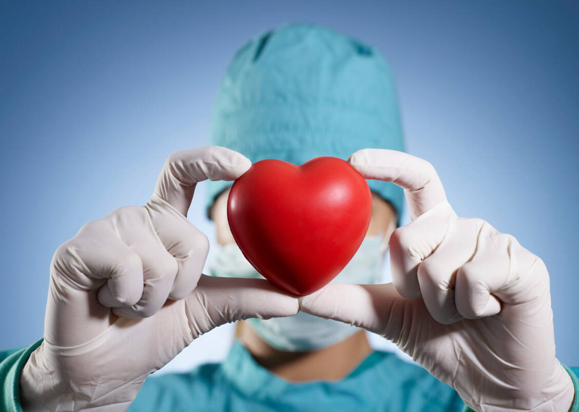 In den USA wurden schwer kranken Patienten bereits versuchsweise Schweineherzen als Ersatz transplantiert. Jetzt sollen dort klinische Studien starten. / © Getty Images/Kemal Bas