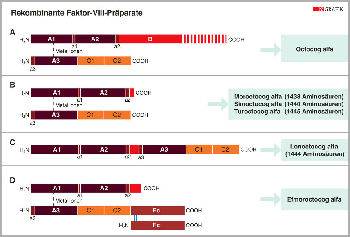 Abbildung 2: Struktureller Vergleich der verschiedenen rekombinanten FVIII-Präparate (nähere Erläuterung im Text) / Foto: Grafik: PZ/Spitzer, modifiziert nach I. Zündorf; Dingermann, T., et al., 2019