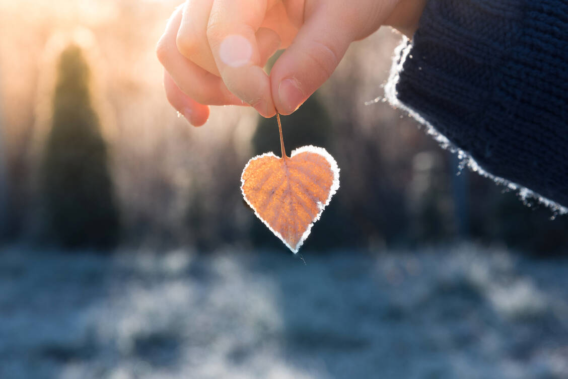 Infekte in Herbst und Winter sind die häufigste Ursache für Herzmuskelentzündungen. / Foto: Getty Images/Michal Jonik
