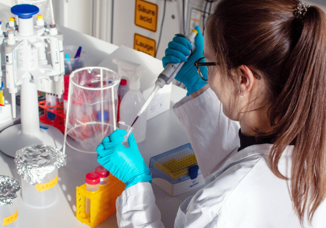Am Computer designte Proteine werden im Labor hergestellt und analysiert. Eine Mitarbeiterin des Instituts für Wirkstoffentwicklung in Leipzig bereitet Proben für Gelelektrophoresen vor, um die Größe des jeweiligen Proteins festzustellen. / Foto: IWE/Victoria Most