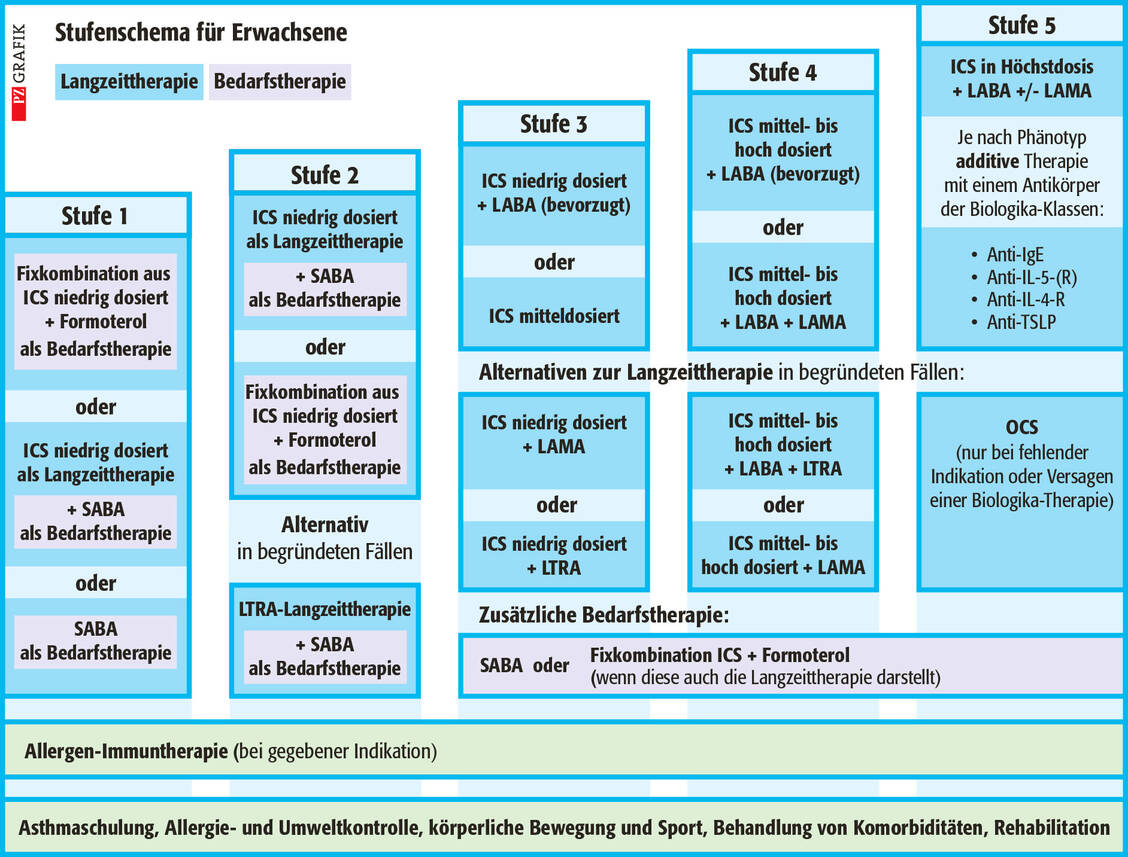 Abbildung 2: Pharmakotherapie des Asthma bronchiale bei erwachsenen Patienten entsprechend steigender Krankheitsaktivität von Stufe 1 bis Stufe 5 gemäß der therapeutischen Leitlinie, Stand 2023
ICS: inhalatives Corticosteroid; IgE: Immunglobulin E; IL: Interleukin; LABA: lang wirksames inhalatives Beta-2-Mimetikum; LAMA: lang wirksames Anticholinergikum; LTRA: Leukotrien-Rezeptor-Antagonist; OCS: orales Corticosteroid; SABA: kurz wirksames inhalatives Beta-2-Mimetikum; TSLP: Thymus-Stroma-Lymphopoietin / Foto: PZ/Stephan Spitzer