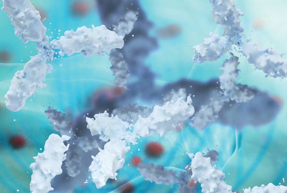 Im fortgeschrittenen Stadium einer Covid-19-Erkrankung kann es zu einem Zytokinsturm kommen. Immunsystem-dämpfende Arzneimittel wie der IL-6-Rezeptorantagonist Sarilumab werden hier versuchsweise als letzte Hoffnung eingesetzt. / Foto: Fotolia/fotoliaxrender