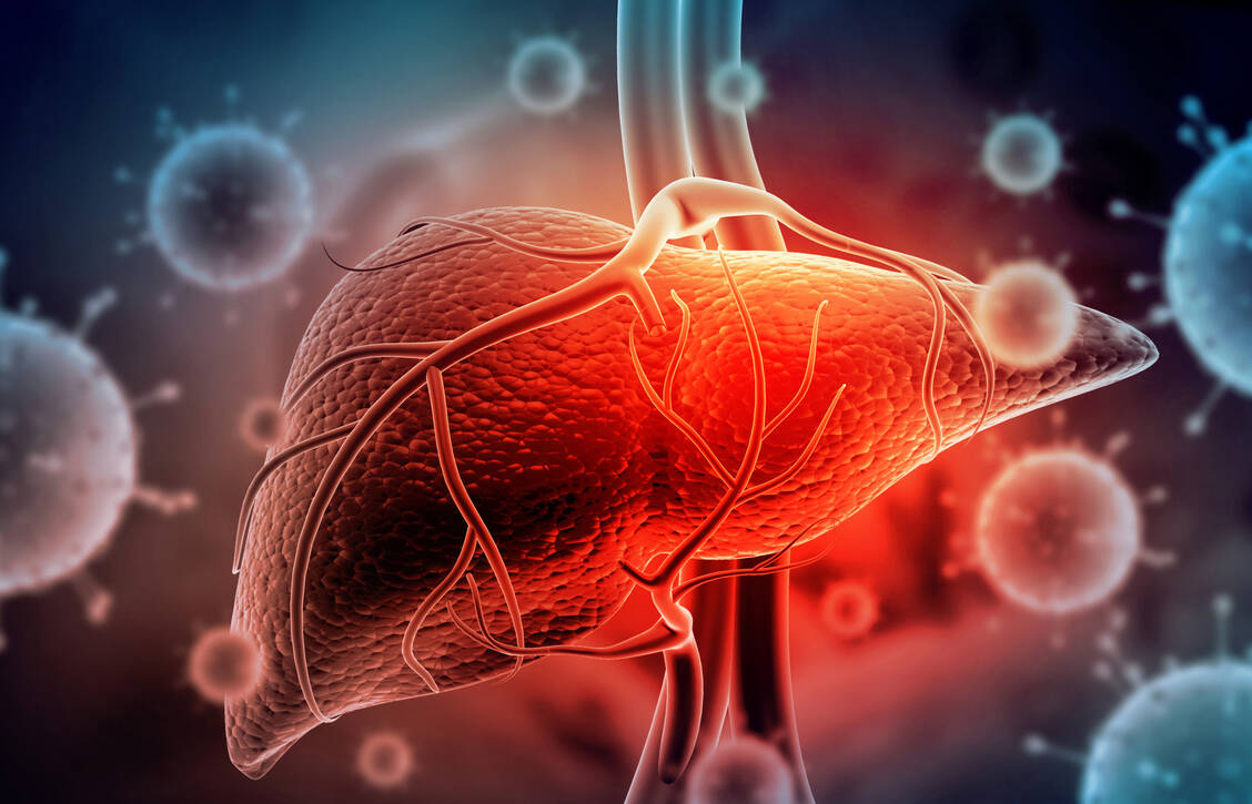Es gibt fünf verschiedene Arten von Hepatitis, die durch unterschiedliche Viren verursacht werden, von A bis E. Gefährlich sind vor allem Hepatitis B und C. / Foto: Getty Images/Rasi Bhadramani