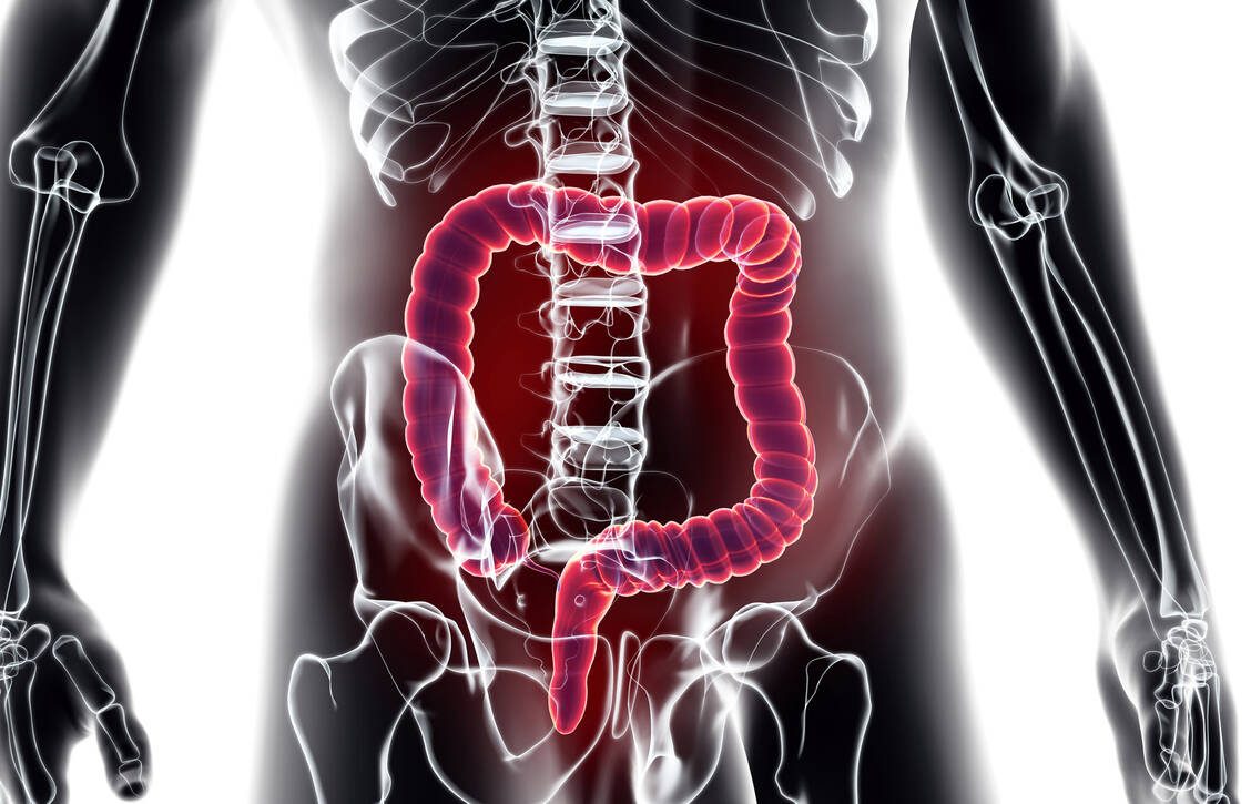Das α4β7-Integrin, die Zielstruktur von Vedolizumab, kommt über­wiegend in der Darmschleimhaut vor. Es ist somit ein darmselektiver Integrin-Antagonist. / Foto: Fotolia/yodiyim