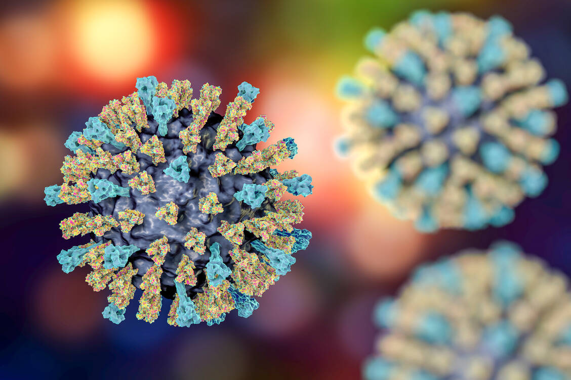 Das Masernvirus infiziert im Prinzip jeden Ungeimpften in der Umgebung und hat ein relativ hohes Komplikationsrisiko. / © Getty Images/Science Photo Library/Kateryna Kon