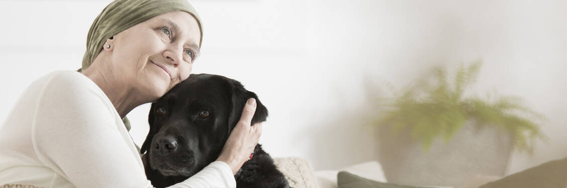 In der Hospizversorgung ist vieles möglich – auch die tiergestützte Therapie. Wie ist die Versorgungslage Sterbender in Deutschland?  / © Adobe Stock/Katarzyna