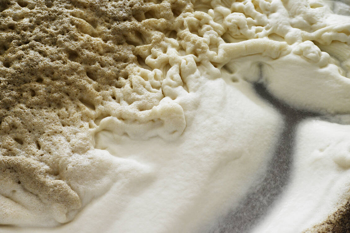 Die Bierhefe Saccharomyces cerevisiae produziert unter bestimmten Bedingungen Ethanol – eigentlich eine Energieverschwendung. Foto: Shutterstock/Digieva
