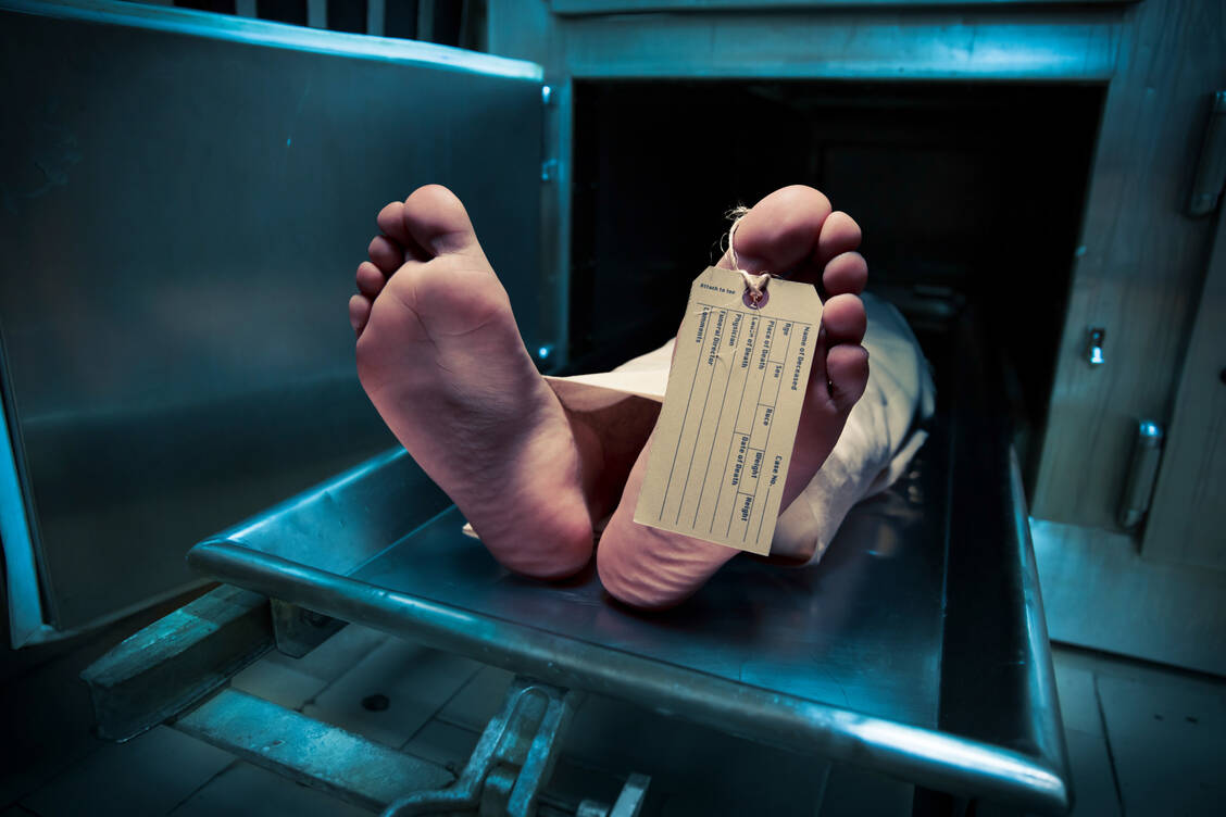Inzwischen lassen sich mithilfe forensischer Methoden viele Aussagen vor Gericht widerlegen und Licht in ungeklärte Todesfälle bringen. / © Adobe Stock/fergregory