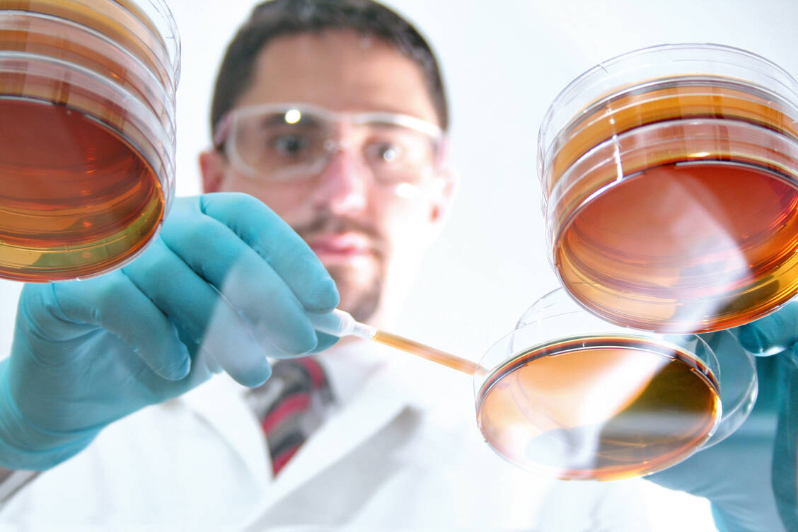 Niedere Pilze sind offenbar eine interessante Quelle für sekundäre Naturstoffe. Dies entdeckten Pharmazeuten an der Uni Jena.  / Foto: Manuel Schäfer