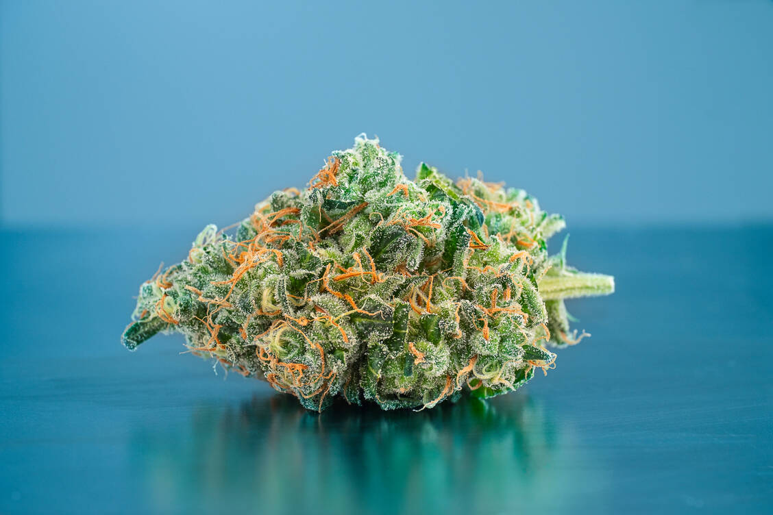 Bedenken aus der Ecke der Innenpolitik hatten das Gesetzesvorhaben der Ampel-Koalition zur Cannabis-Legalisierung zuletzt verzögert. / Foto: Demecan