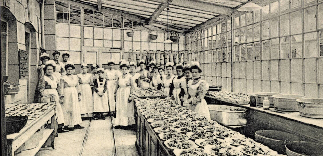 Vegetarische Küche: Für den Speiseplan seiner Heilanstalt (hier um 1935) ließ Dr. Lahmann sogar regional Obst und Gemüse anbauen.   / © Imago/Arkivi