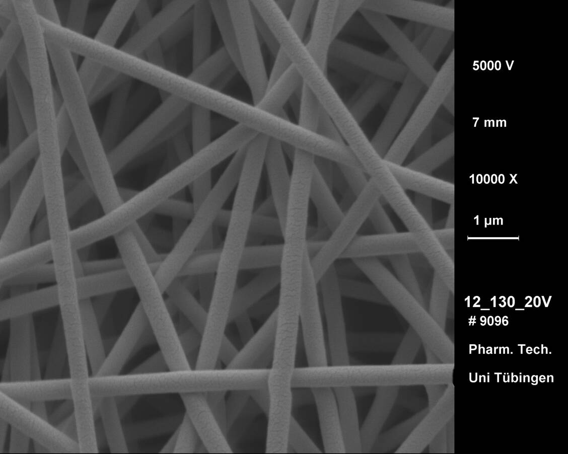 Abbildung 3: Fasern einer elektrogesponnenen Wundauflage im Rasterelektronen-Mikroskop / © Daniels, Pharmazeutisches Institut Uni Tübingen