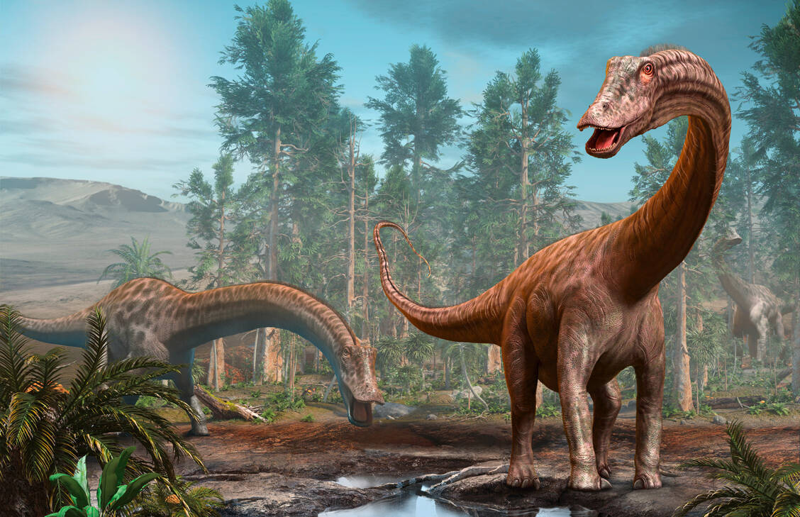 Die Faszination der Dinosaurier ist ungebrochen. Wie mögen sie ausgesehen haben, wie lebten sie, welche Krankheiten hatten sie? Forscher fanden jetzt Hinweise darauf, dass die Dinos auch unter Atemwegserkrankungen gelitten haben könnten. / Foto: Adobe Stock/warpaintcobra