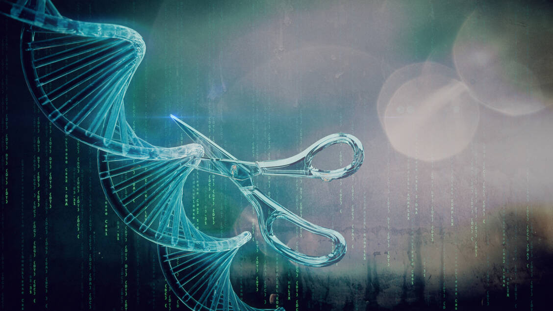 Eine Weiterentwicklung der Genschere CRISPR/Cas, die nicht Doppelstrangbrüche einfügt, sondern DNA-Regionen gezielt verändern kann, wurde erstmals bei einem Patienten eingesetzt. / © Adobe Stock/Jacqueline Weber
