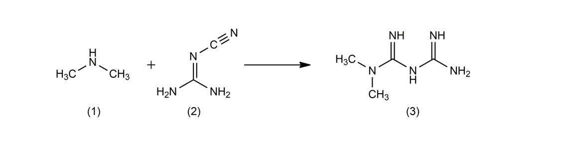 Synthese von Metformin (3) aus Dimethylamin (1) und Dicyandiamid (2) nach Werner und Bell. / Foto: Wurglics