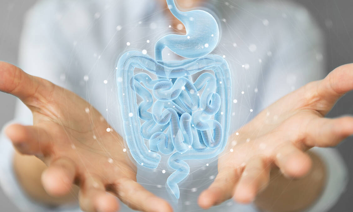 Ob Veränderungen im Darmmikrobiom eher Spiegel oder bestimmender Faktor für gesundheitliche Belange sind, ist nach wie vor ungeklärt. / Foto: Adobe Stock/sdecoret