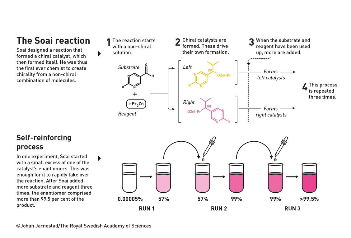 Die Soai-Reaktion, bei der ein chiraler Katalysator sich selbst bildet. Es handelt sich um eine Alkylierungs-Reaktion von Pyrimidin-5-carbaldehyd mit Diisopropylzink / © The Royal Swedish Academy of Sciences/Johan Jarnestad