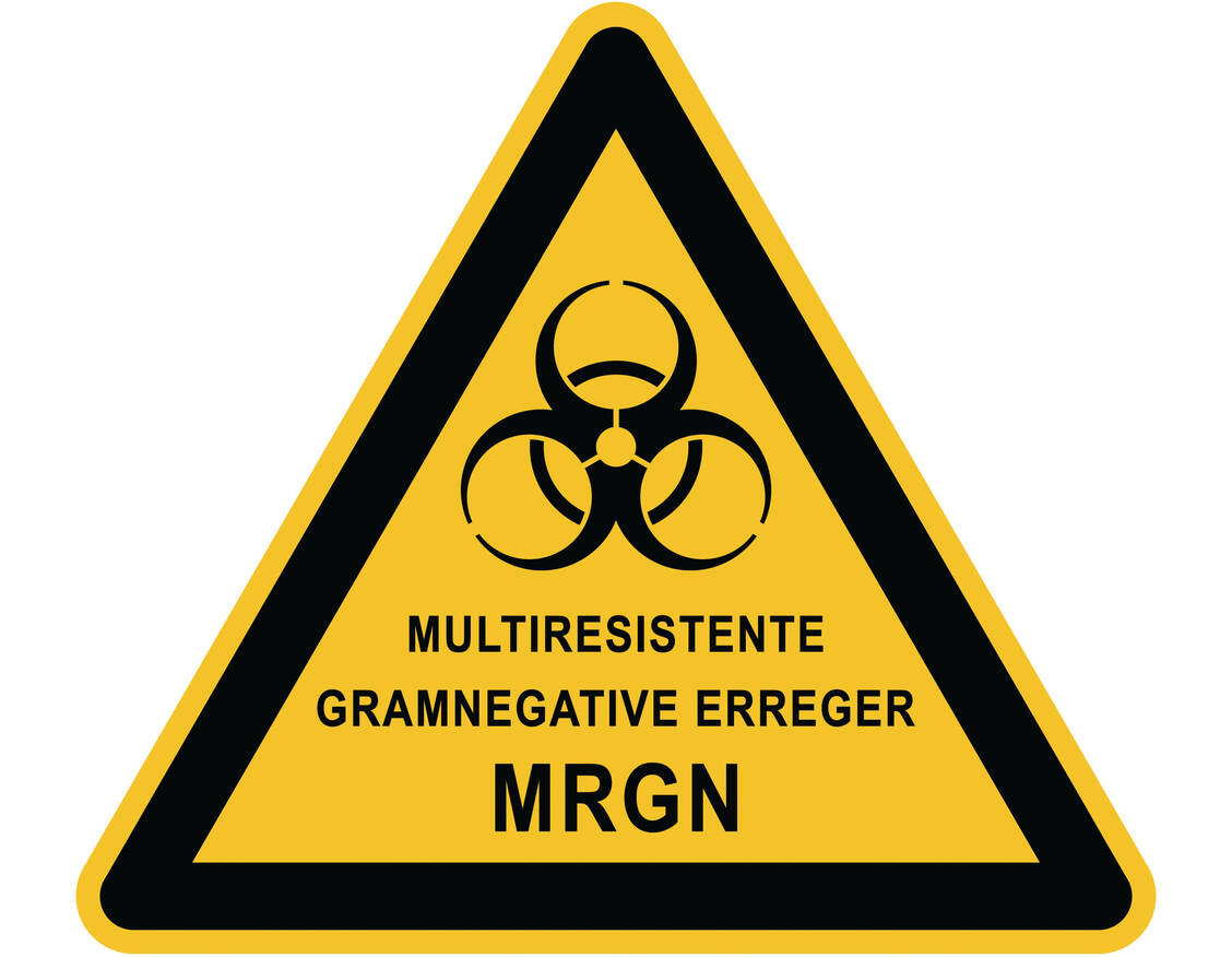 Sorgenkinder der Infektiologen: multiresistente gramnegative Bakterien, kurz MRGN / Foto: Adobe Stock/fotohansel