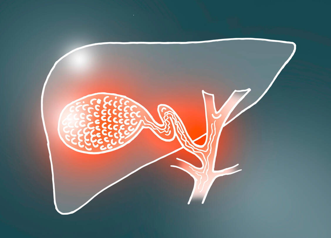 Das relative Risiko von Gallenbeschwerden ist bei einer Therapie mit GLP-1-Rezeptoragonisten laut einer Metaanalyse erhöht. Das absolute Risiko fällt aber immer noch niedrig aus. / Foto: Adobe Stock/mi_viri