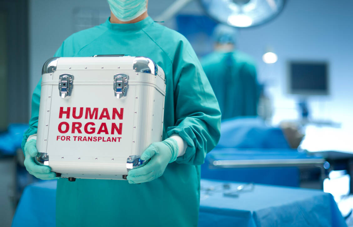 Nach einer Organ- oder Knochenmarktransplantation kann es zur seltenen und potenziell lebensbedrohlichen Bluterkrankung EBV+ PTLD kommen. / Foto: Getty Images/sturti