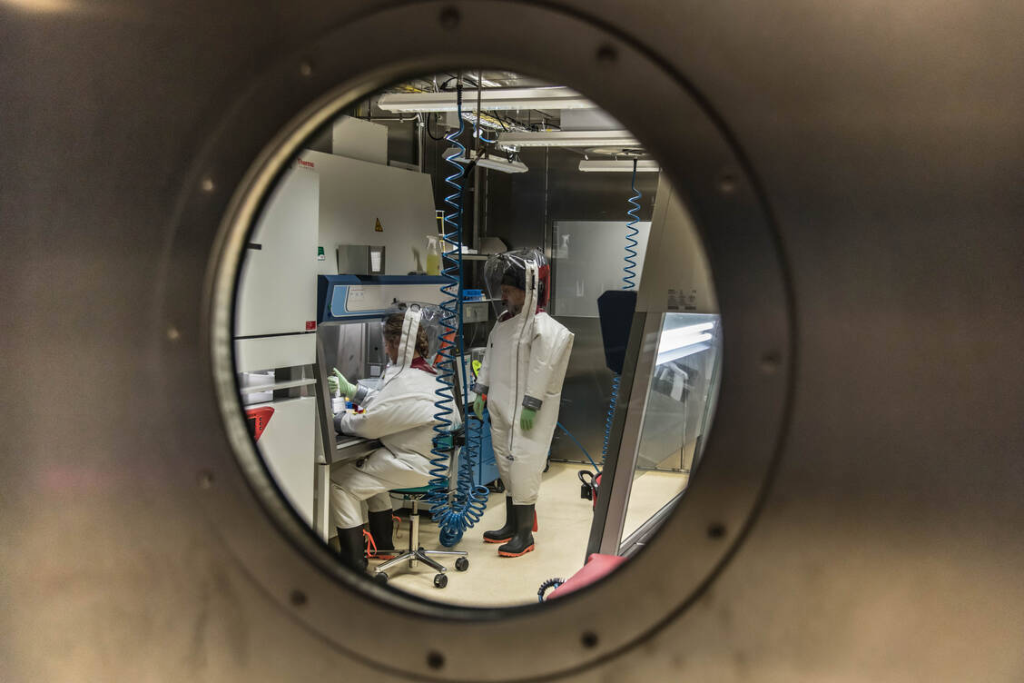 Blick ins S4-Labor des Robert Koch-Instituts: Mit gebündelter Expertise wollen die neuen EURLs Europa widerstandsfähiger machen.  / © RKI