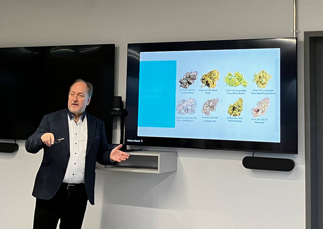 Mehr als 1600 Cannabissorten sind bekannt, erklärte Aphria-Werksleiter Dr. Markus Daniel. Beim Anbau von Medizinalcannabis in Neumünster will man sich auf sechs Kultivare konzentrieren. / © PZ/Daniela Hüttemann