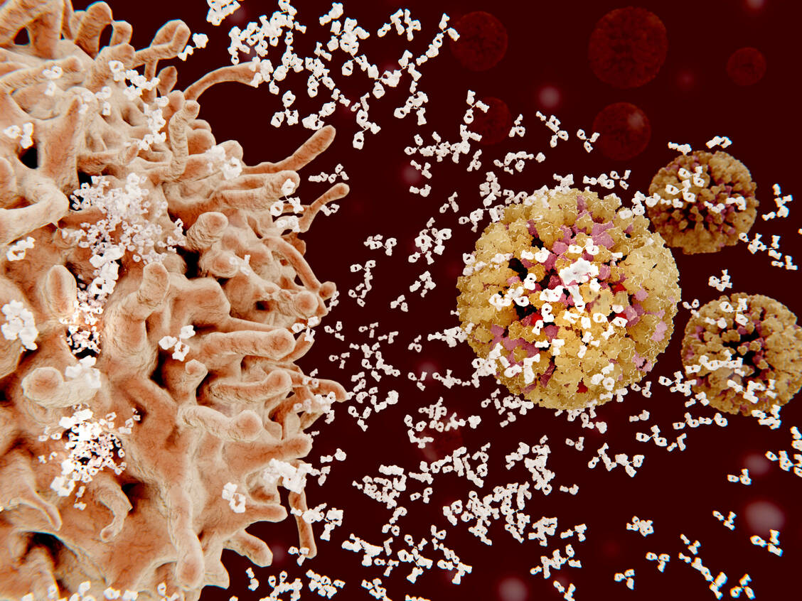 Eine gefürchtete Nebenwirkung einer CAR-T-Zelltherapie ist der Zytokin-Sturm. CAR-NK-Zellen scheinen diesbezüglich ein deutlich besseres Sicherheitsprofil zu haben.  / Foto: Getty Images/Science Photo Library/Juan Gaertner