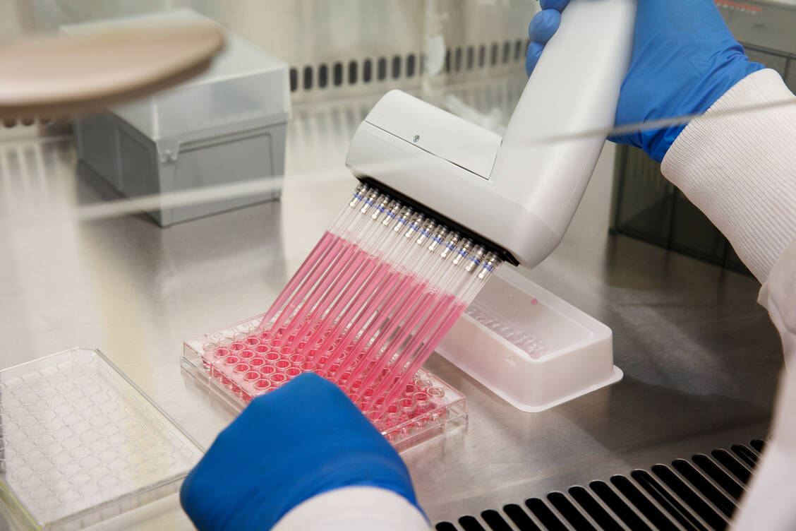Zwischen 2028 und 2030 läuft der Patentschutz für das wichtige HIV-Medikament Dolutegravir von GSK aus. / © ABN Photography/Alan Brian Nilsen