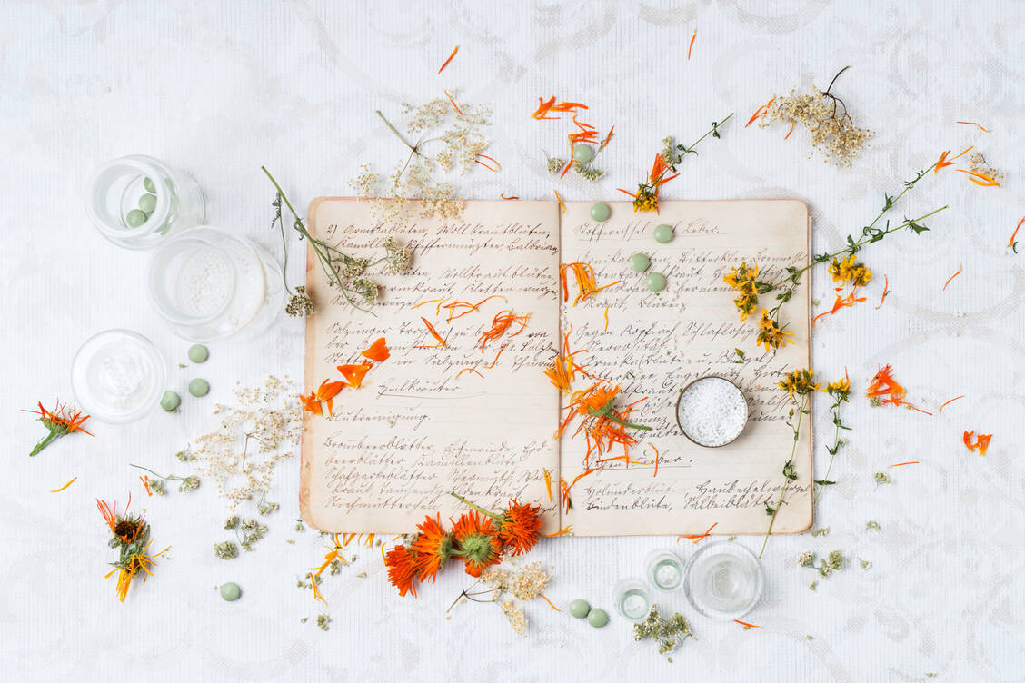 Traditionsreich, aber keineswegs von gestern ist die Phytotherapie. Der Tag der Arzneipflanzen soll auf die Bedeutung der modernen pflanzlichen Heilkunde aufmerksam machen. / Foto: Getty Images/Westend61