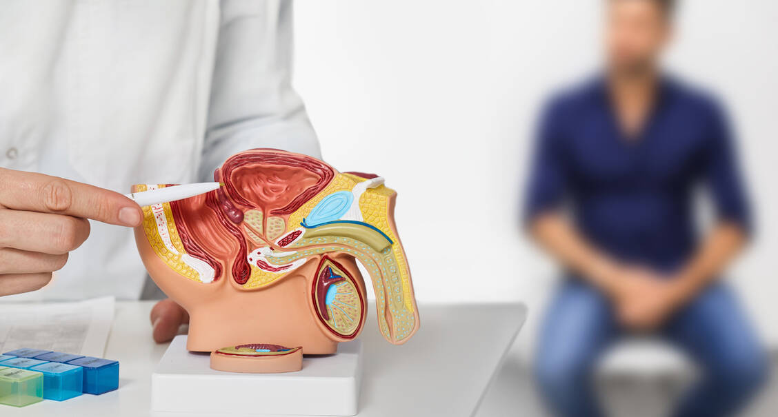 Das Harnblasenkarzinom ist in Deutschland die vierthäufigste Krebserkrankung bei Männern.  / Foto: Adobe Stock/Peakstock
