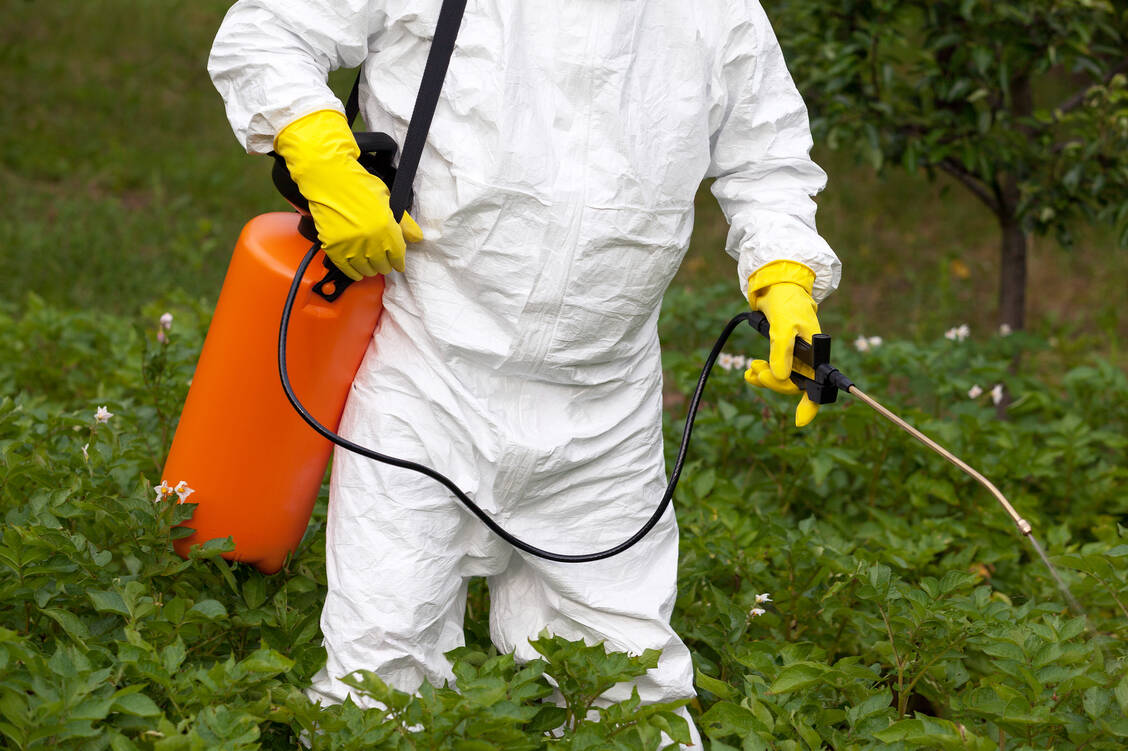 Der Unkrautvernichter Glyphosat gilt als »wahrscheinlich krebserregend«. Einem US-Gericht reichte das, um den Hersteller – die Bayer-Tochter Monsanto – für die Erkrankung eines Klägers zur Rechenschaft zu ziehen. / Foto: Shutterstock/wellphoto