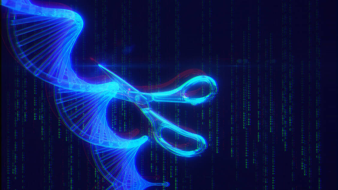 Ein CRISPR/Cas-analoges System, mit dem sich DNA gezielt verändern lässt, haben Forschende in Zellen höherer Lebewesen entdeckt.   / Foto: Adobe Stock/Jacqueline Weber