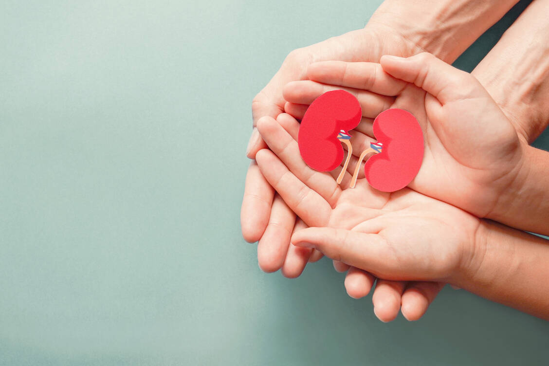 Die DGfN rät Personen, die per se ein erhöhtes Nierenerkrankungsrisiko besitzen, nach einer Covid-19-Infektion einen Nierencheck durchführen zu lassen. / Foto: Adobe Stock/sewcream