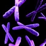 Früherkennung: Bluttest auf Down-Syndrom