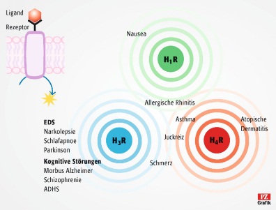 Neue Generationen von Antihistaminika | PZ – Pharmazeutische Zeitung