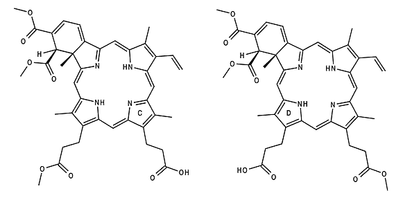 Verteporfin (C + D)
