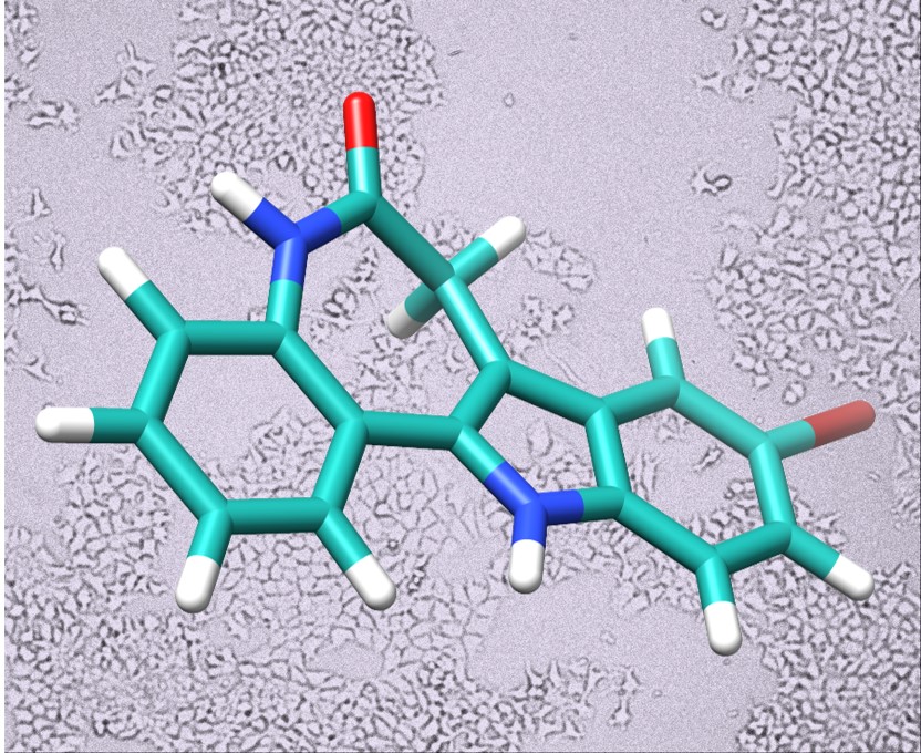 Kenpaullon, ein experimenteller Kinasehemmer, hat eine Indolobenzazepinon-Grundstruktur. / Foto: TU Braunschweig/Prof. Dr. Conrad Kunick