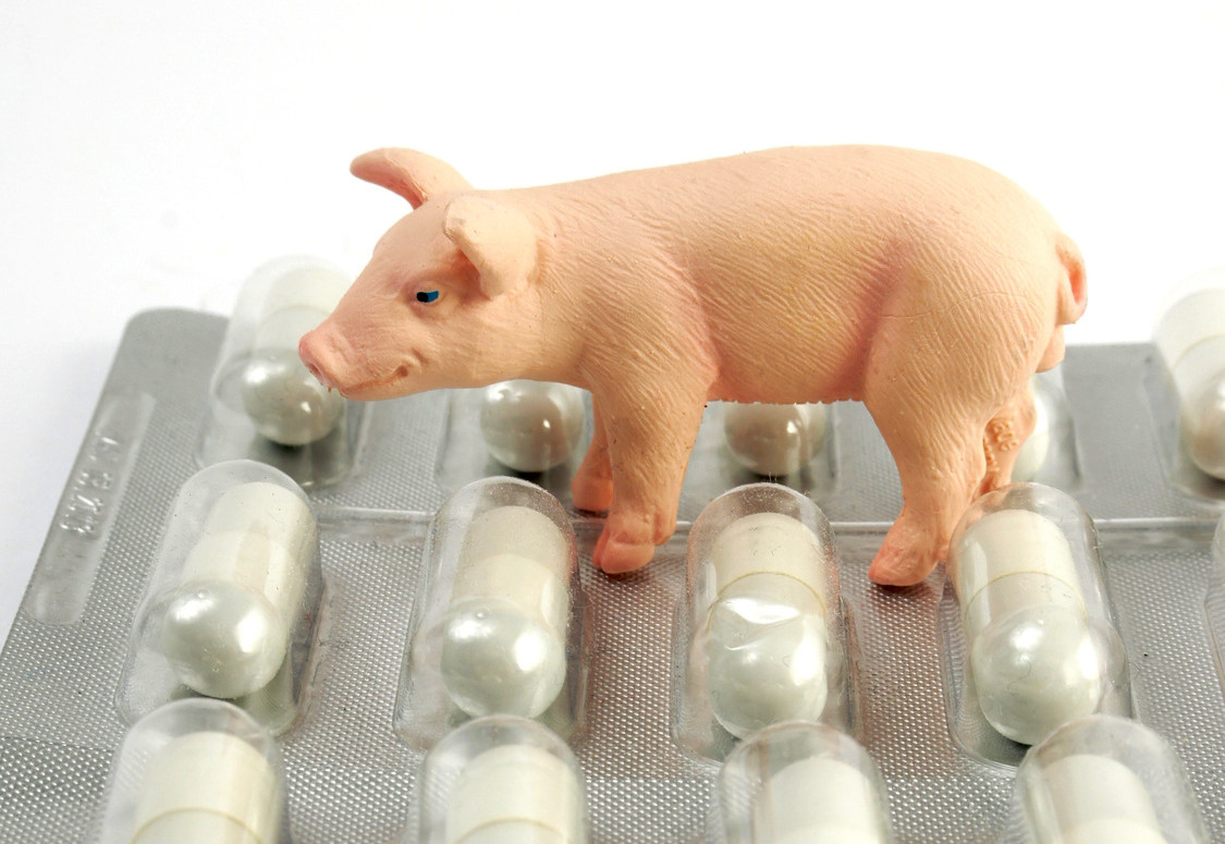 Seit nunmehr zehn Jahren geht der Verbrauch an Antibiotika in der Tierhaltung zurück. / Foto: Fotolia/Flexmedia